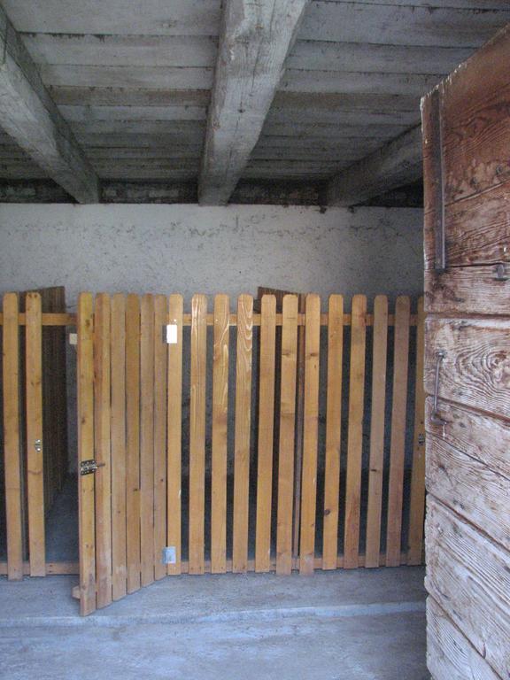 House Nada Apartment Donji Babin Potok Bagian luar foto
