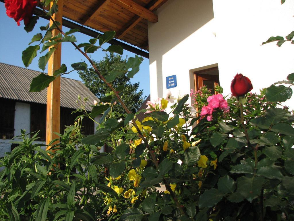 House Nada Apartment Donji Babin Potok Bagian luar foto